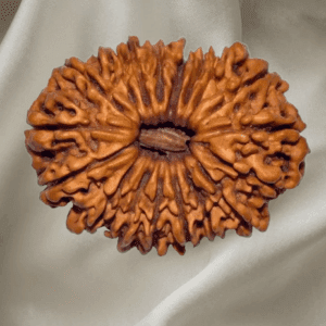 18 Mukhi Rudraksha
