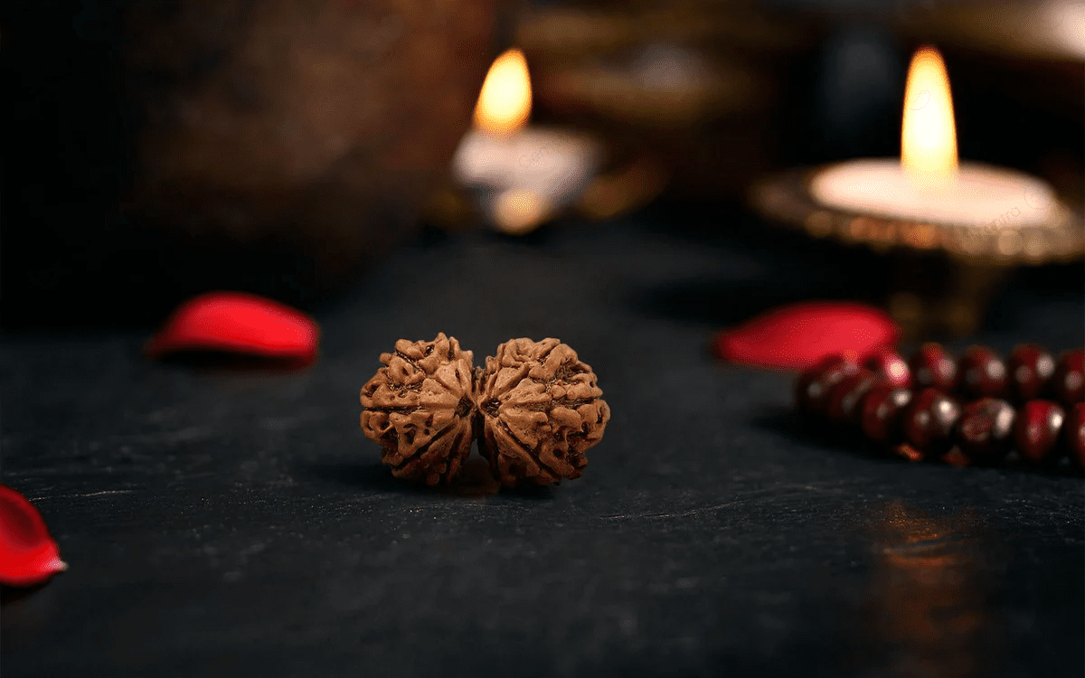 Gauri Shankar Rudraksha